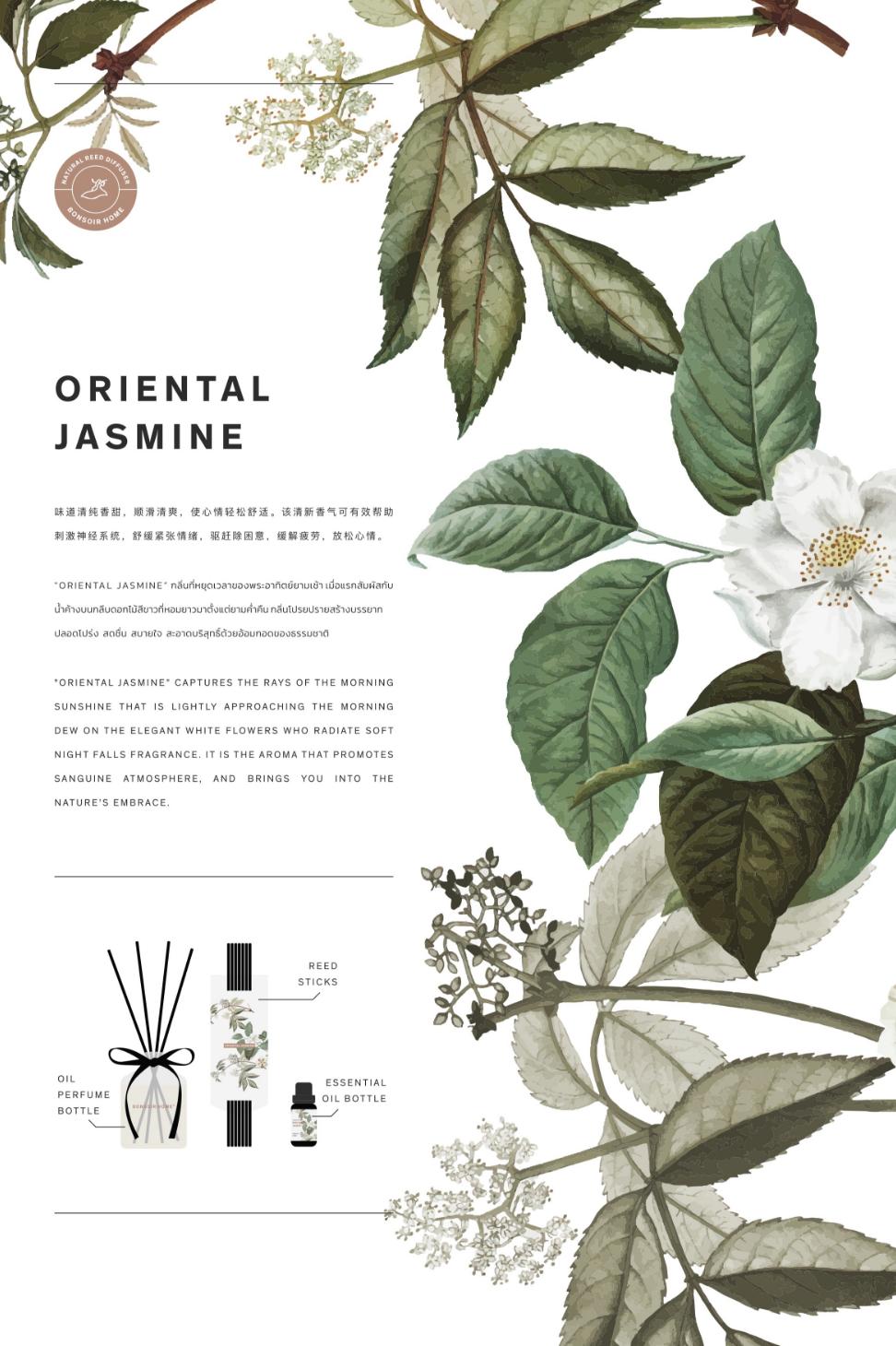 oriental-jasmine